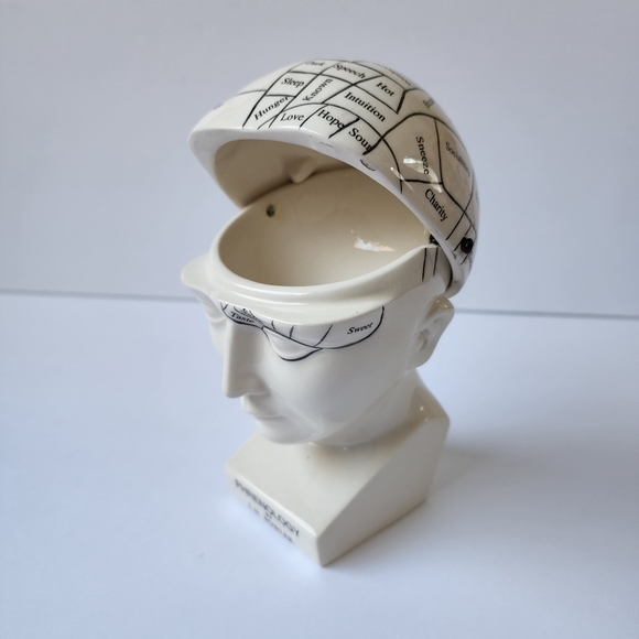 Phrenology Head ceramic porcelain medical terms decor - Picture 5 of 9